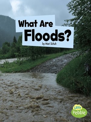 cover image of What Are Floods?